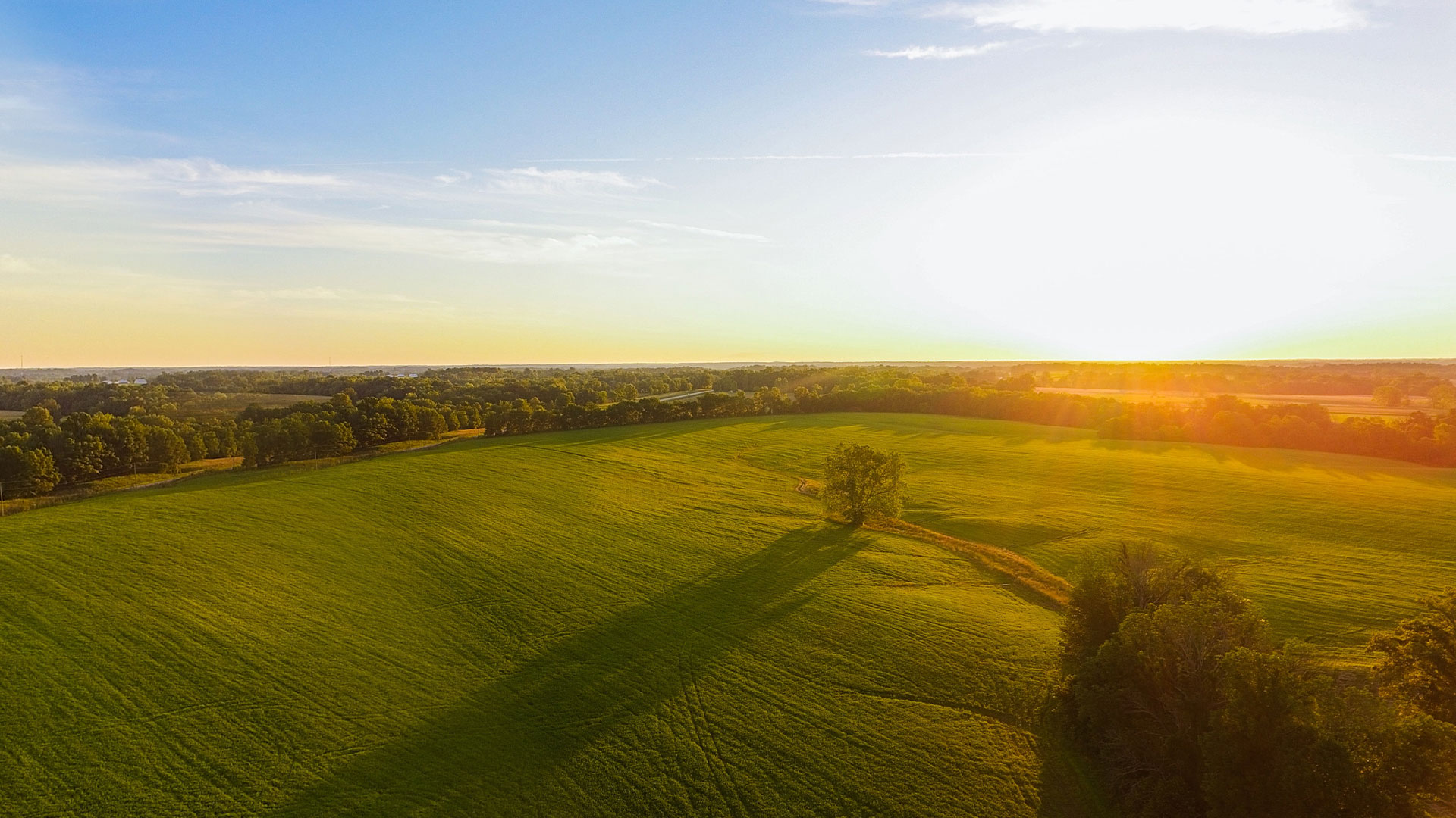 米兰app体育登录入口_米兰体育（中国）自有农场数量和规模亚洲第一