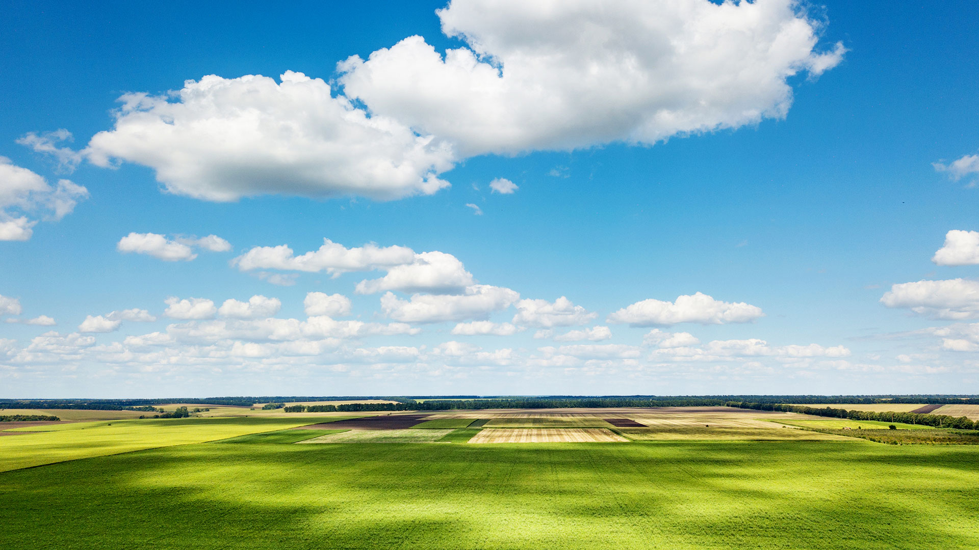 米兰app体育登录入口_米兰体育（中国）在全国布局30个国际标准的自有生态农场